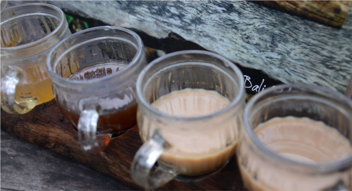Coffee Plantation Ubud