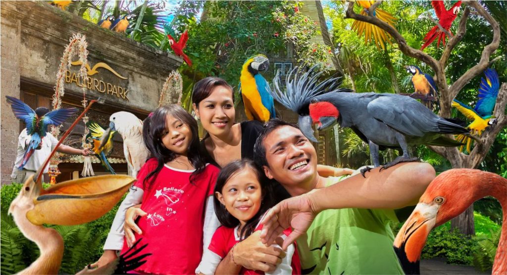 Bali Bird Park
