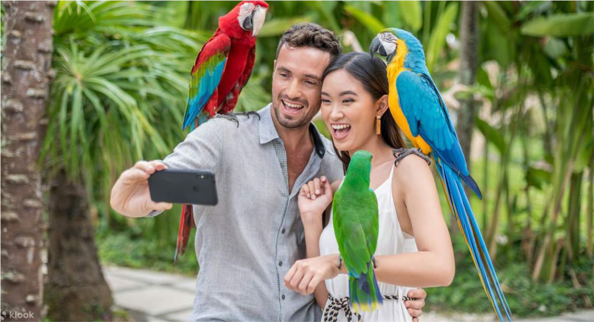 Bali Bird Park