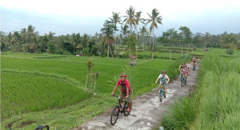 Bali Kintamani Cycling