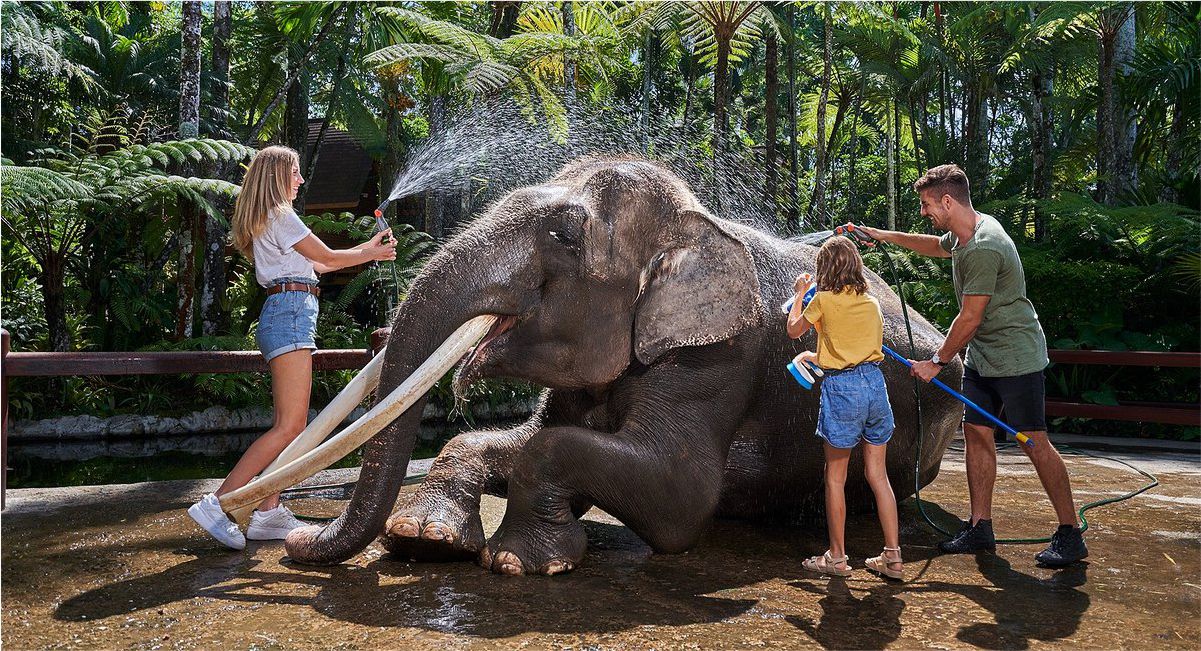 Bali Safari Elephant Ride