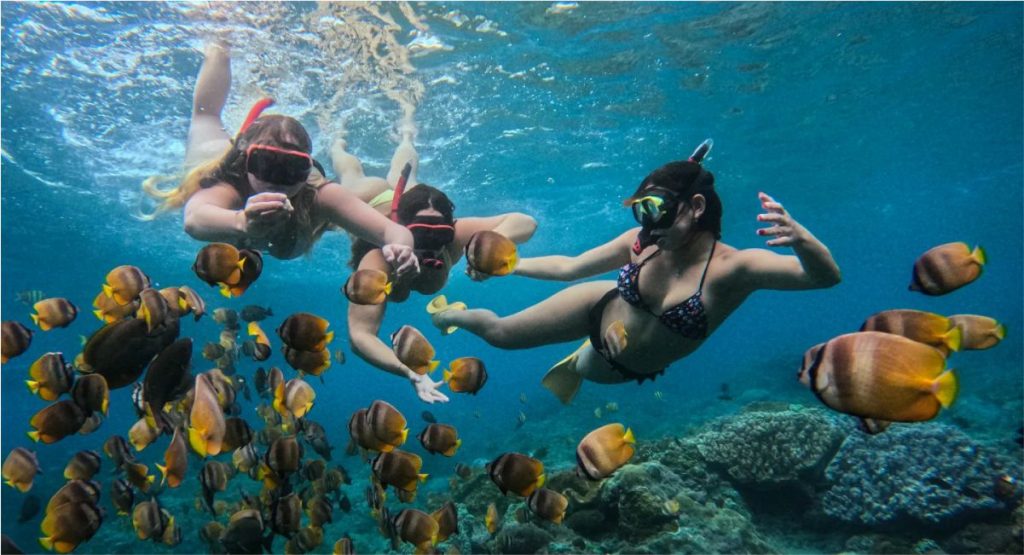 Bali Snorkeling Nusa Penida