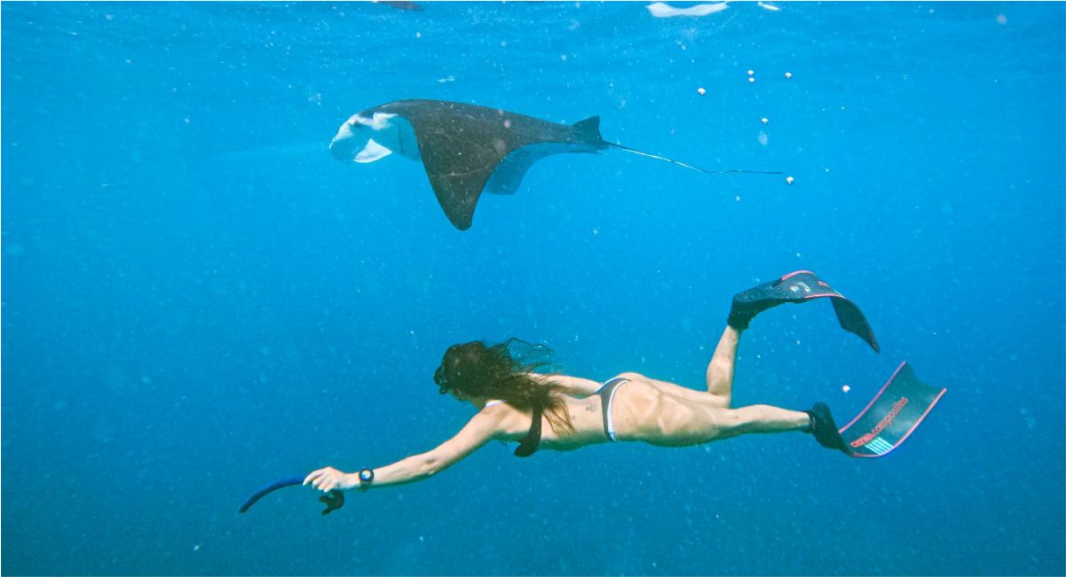Bali Snorkeling Nusa Penida