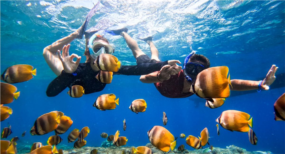 Bali Snorkeling Nusa Penida