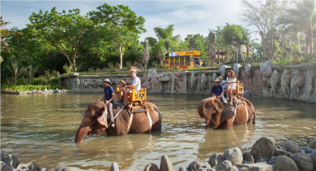 Bali Zoo Elephant Ride