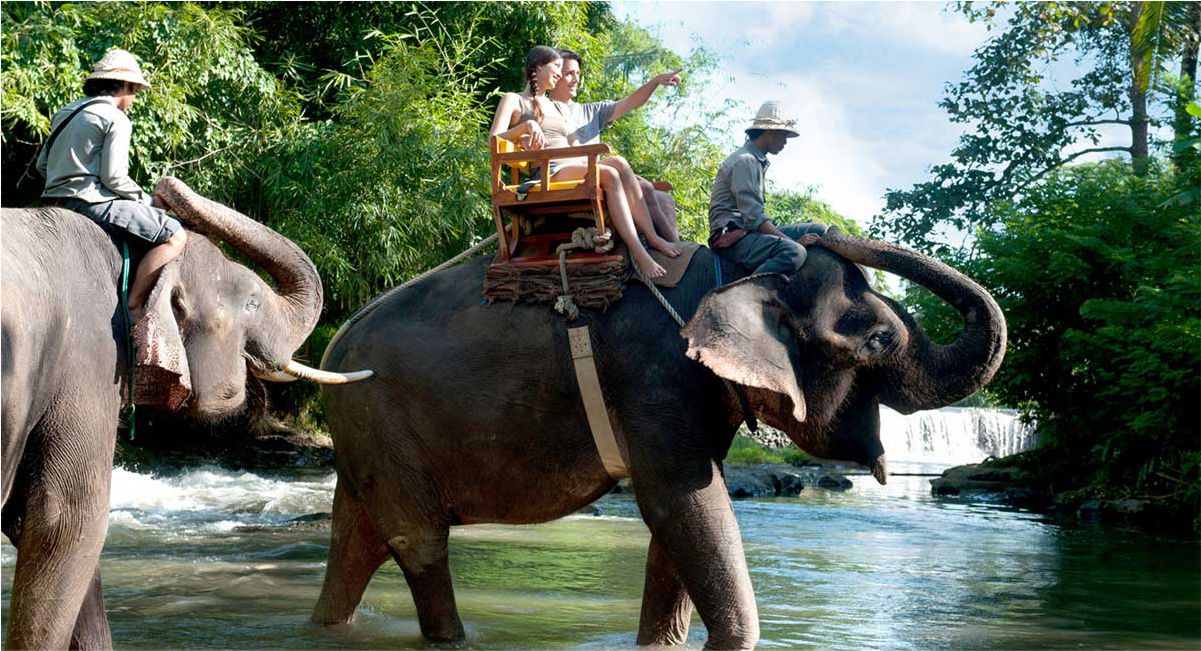 Bali Travel Vacation - Bali Zoo Elephant Ride - 2
