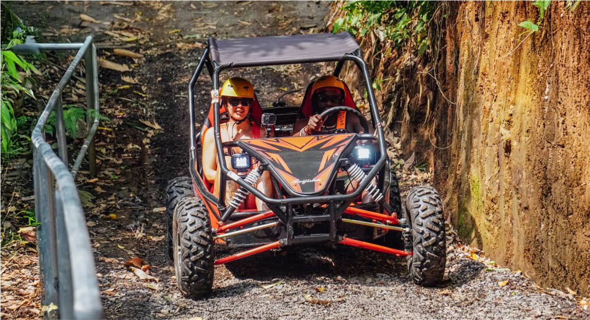 Buggy UTV