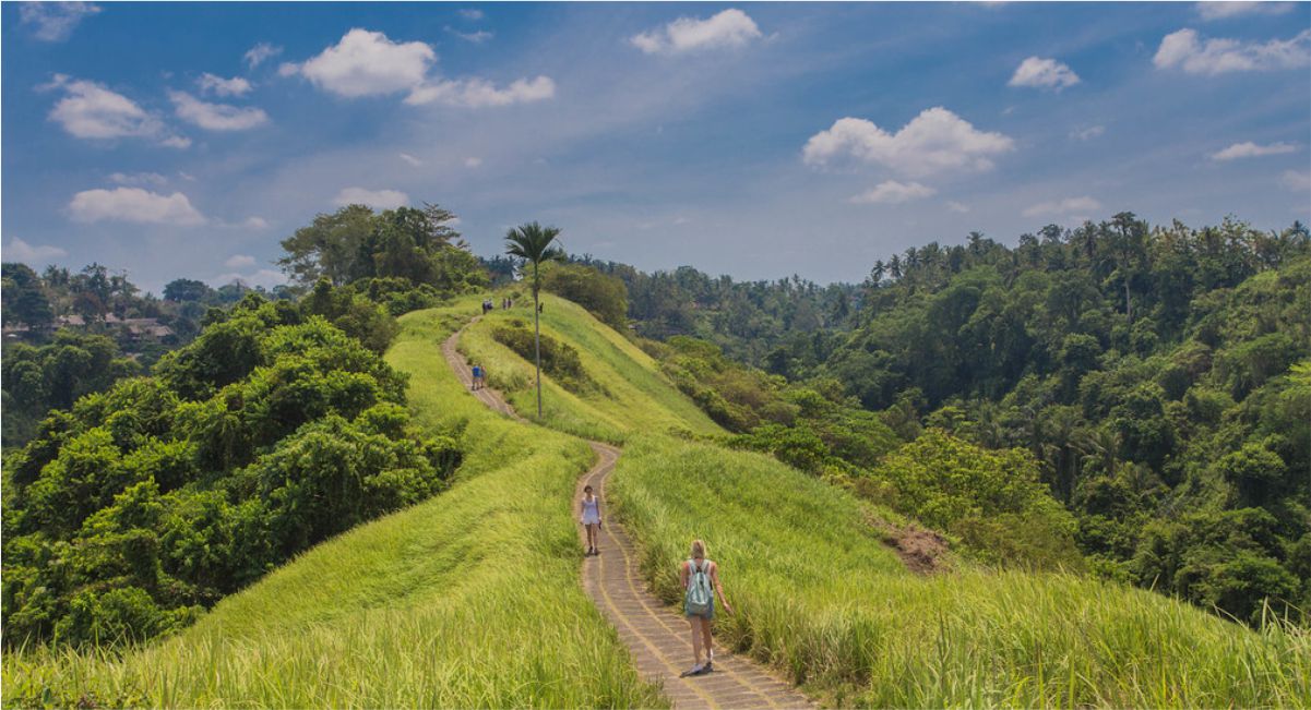 Campuhan Ridge Walk