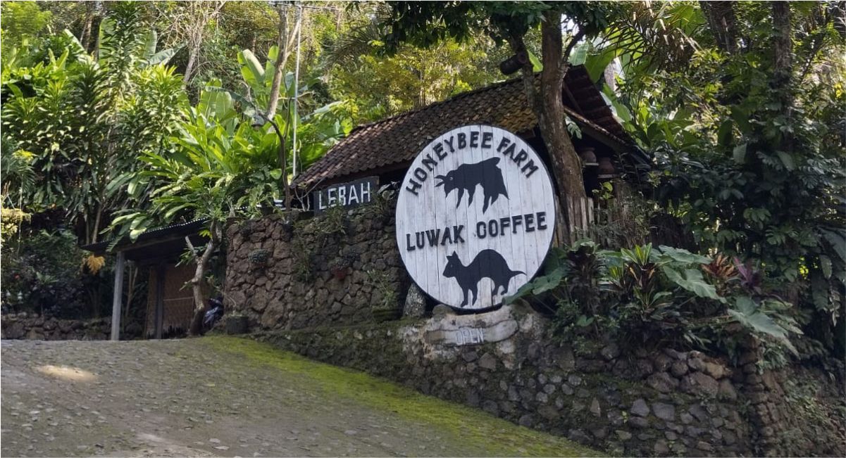 Honey Bee Farm and Luwak Coffee
