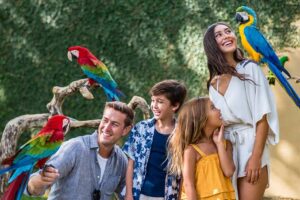 Bali Bird Park