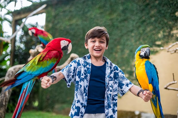 Bali Bird Park