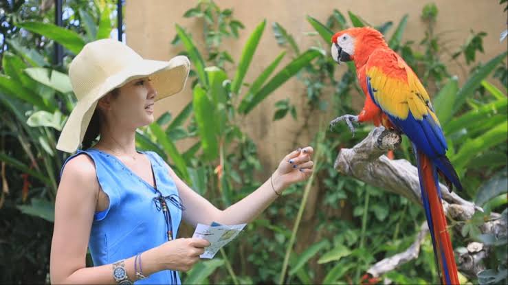 Bali Bird Park