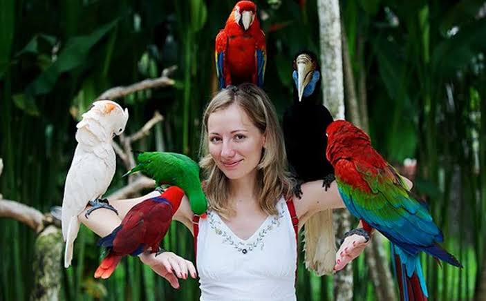 Bali Bird Park