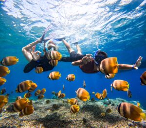 Bali Snorkeling Tour