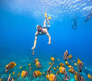 Bali Snorkeling Tour