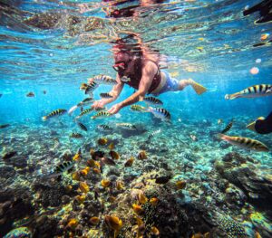 Bali Snorkeling Tour