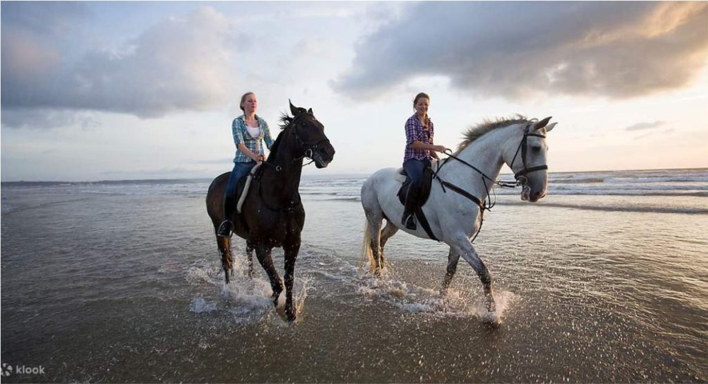 Bali Horse Riding