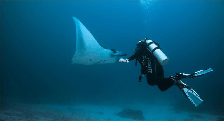bali scuba diving