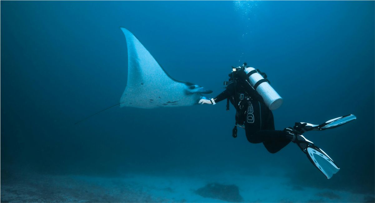 bali scuba diving
