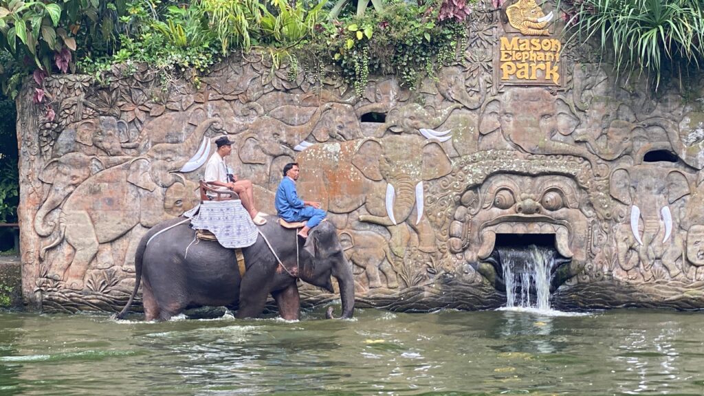 Explore Bali Elephant Ride and Safari