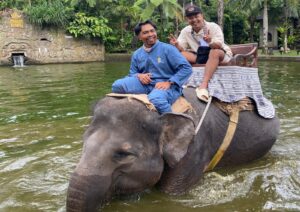 Explore Bali Elephant Ride and Safari4