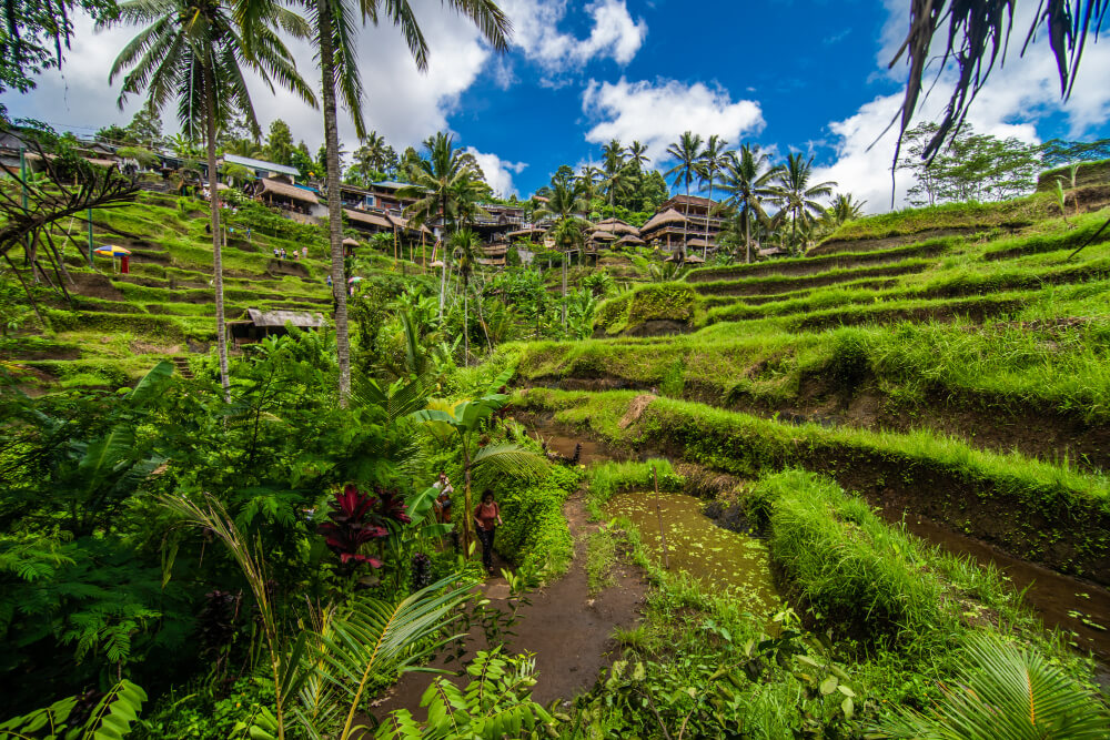 Exploring Gianyar Tourist Villages