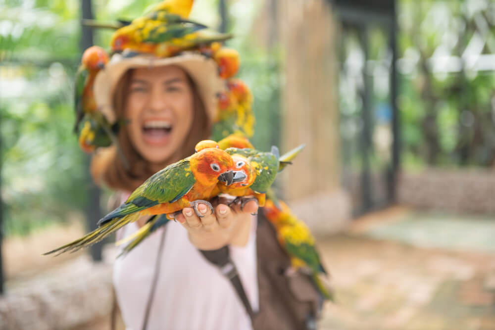 Educational Family Vacation Guide to Bali Bird Park