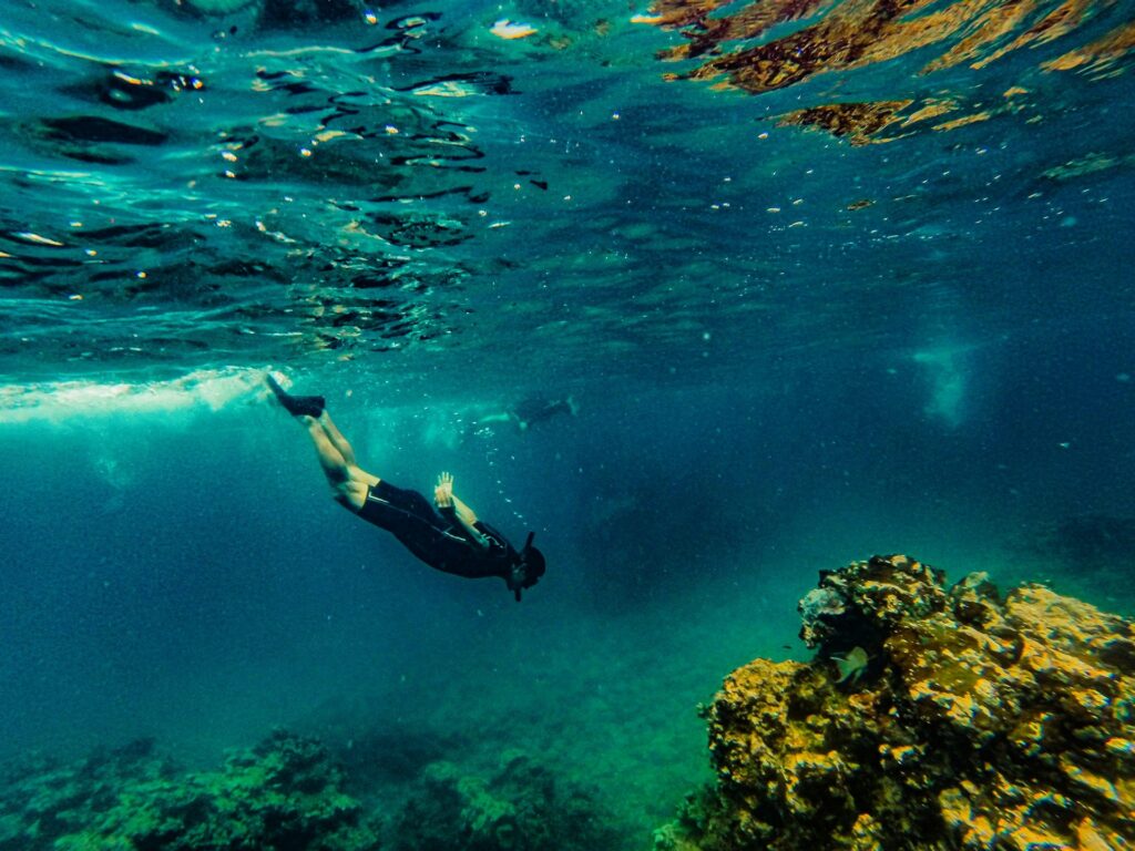 Coral Reefs That are the Hunted Beauty in Snorkeling Trips