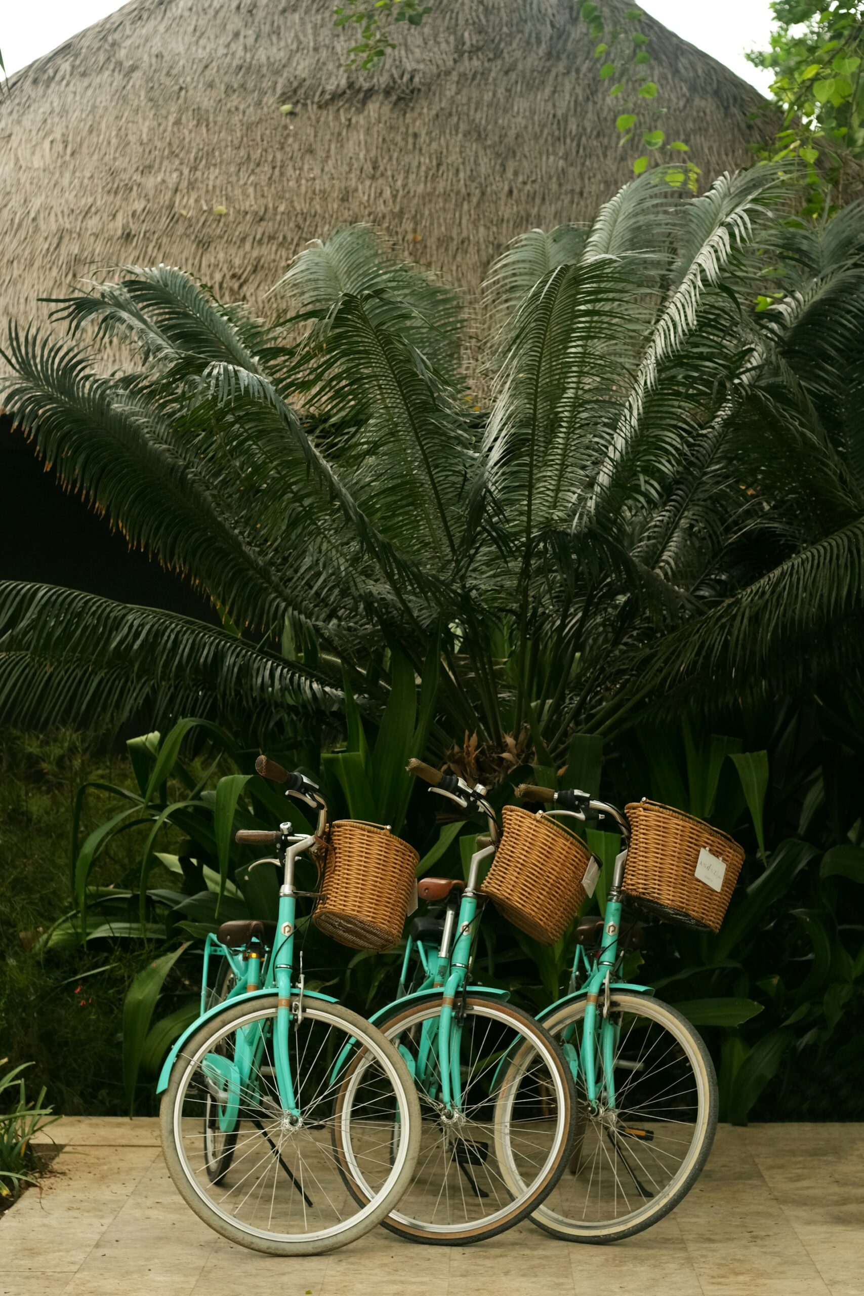Enjoy cycling in Bali comfortably and excitingly.