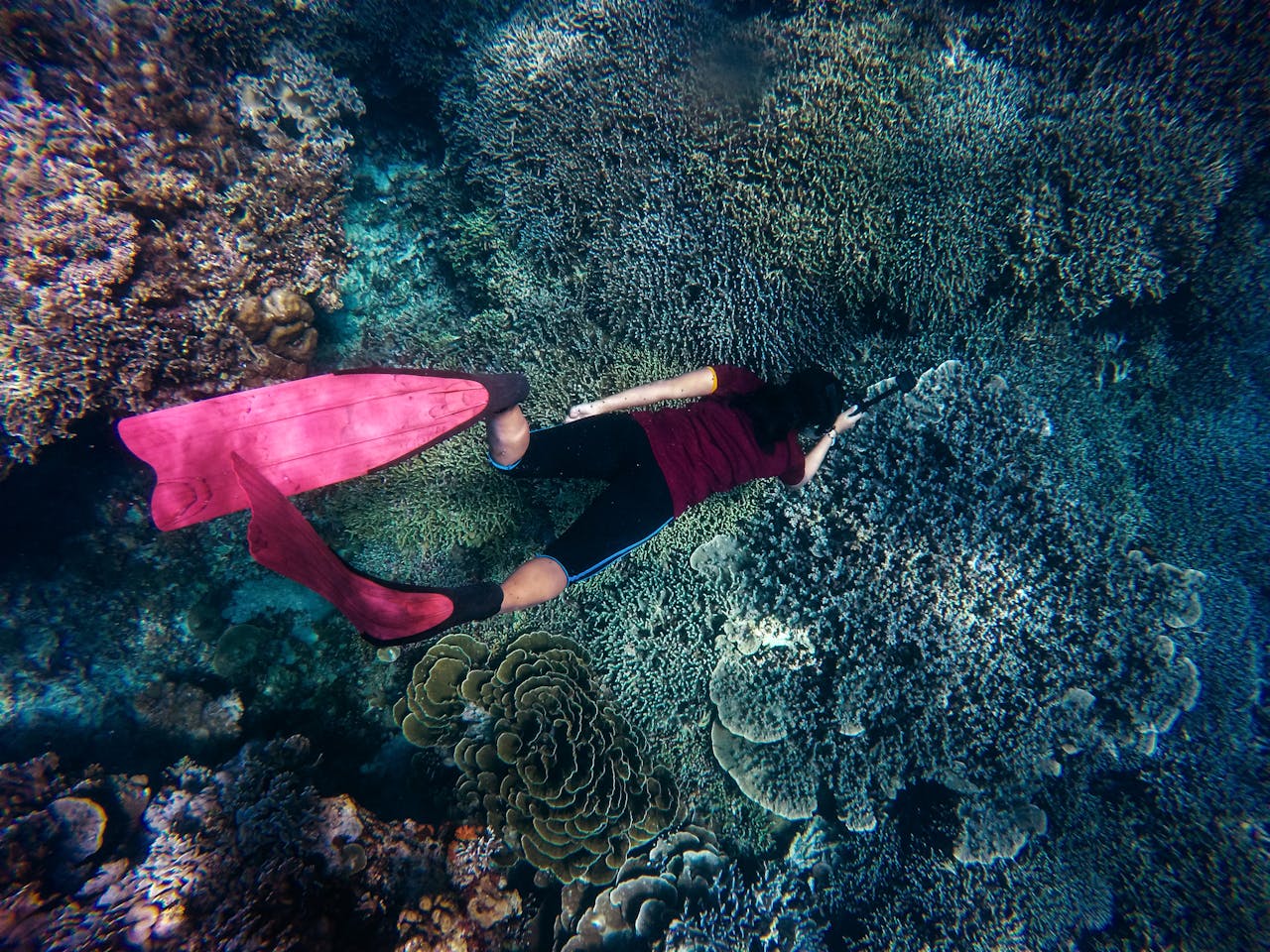 Snorkeling Guide for Beginners