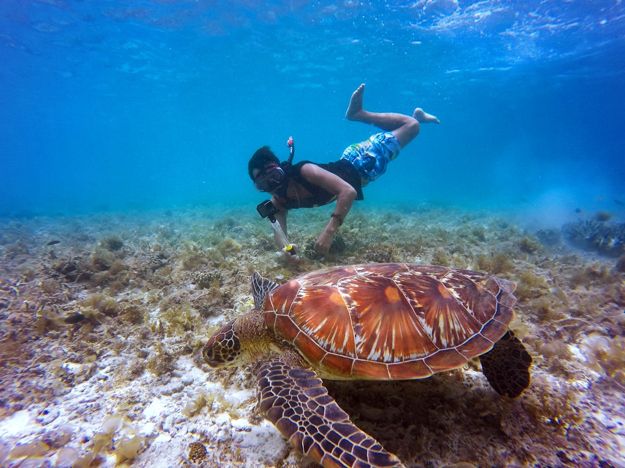 Snorkeling Guide for Beginners