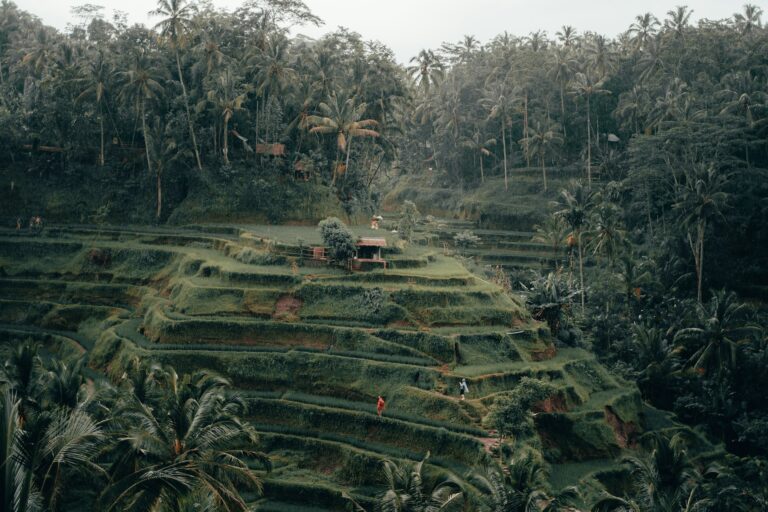 Which One is The Right Place for Healing in Bali: Canggu or Ubud?