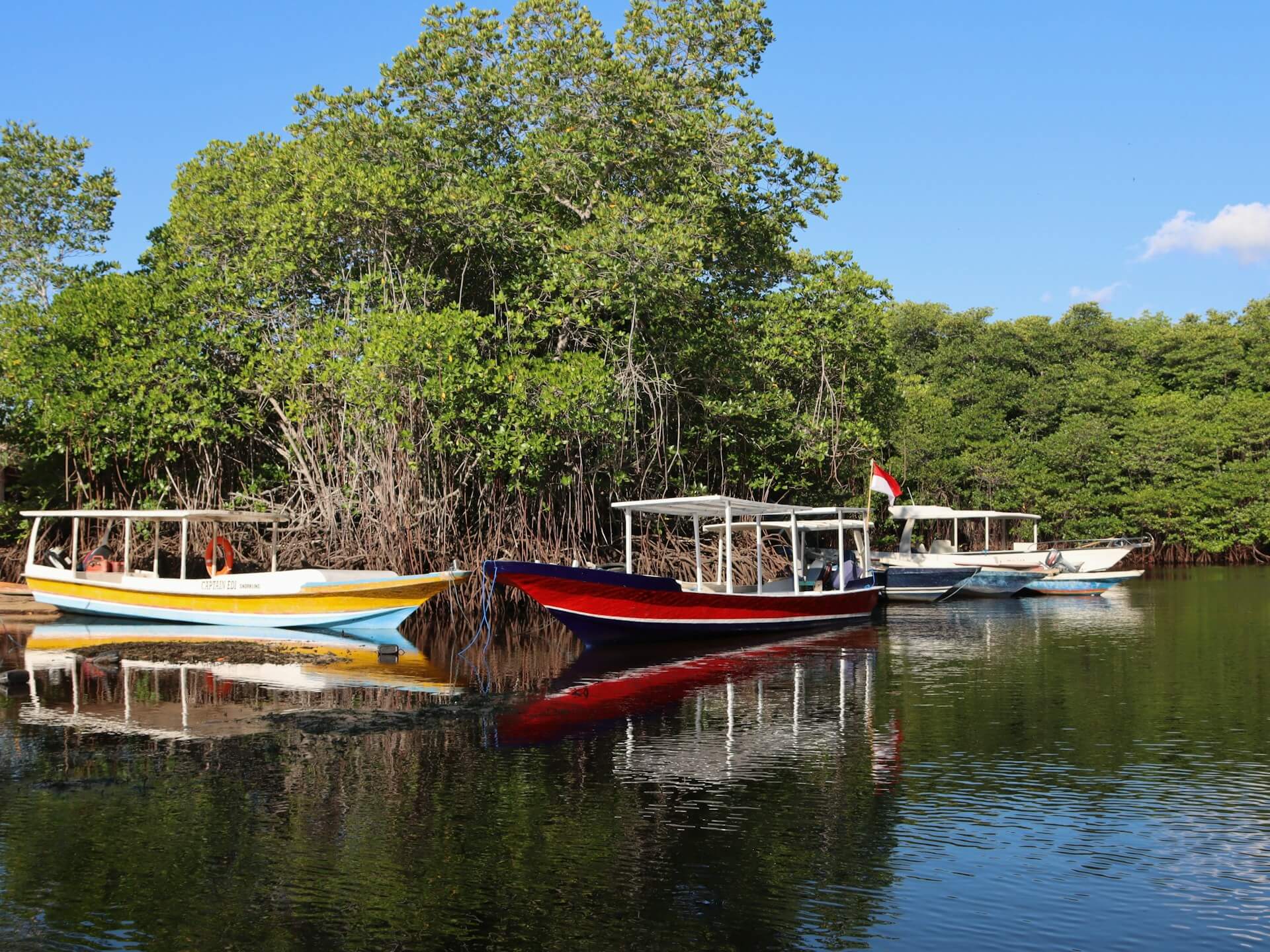Lost in the Green Nusa Penida’s Secret Mangrove Sanctuary