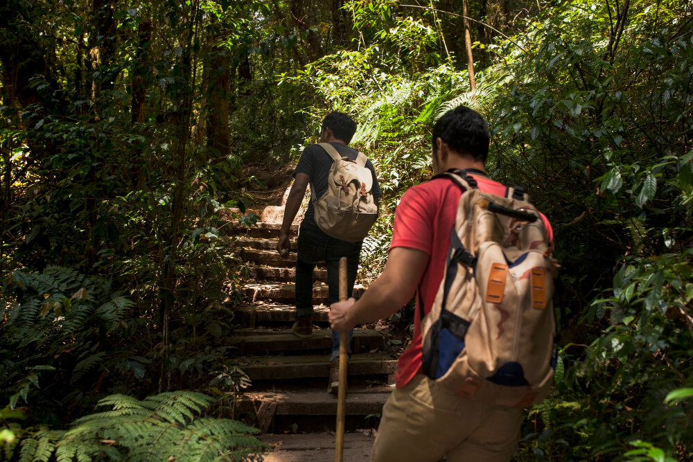 Trekking Campuhan Ridge Walk as Ubud’s Soul-Stirring Secret