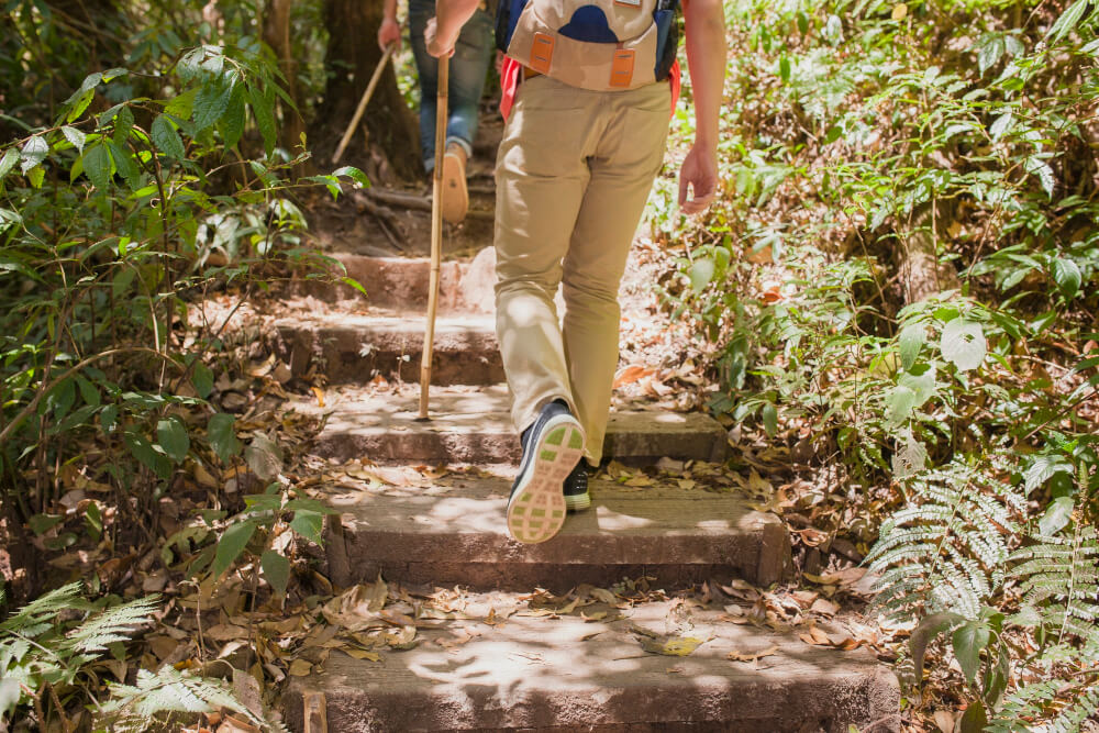 Trekking Campuhan Ridge Walk as Ubud’s Soul-Stirring Secret