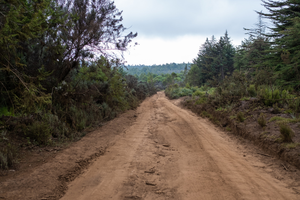 Bali’s Unfiltered Offroad Trails and Authentic Warung Feasts