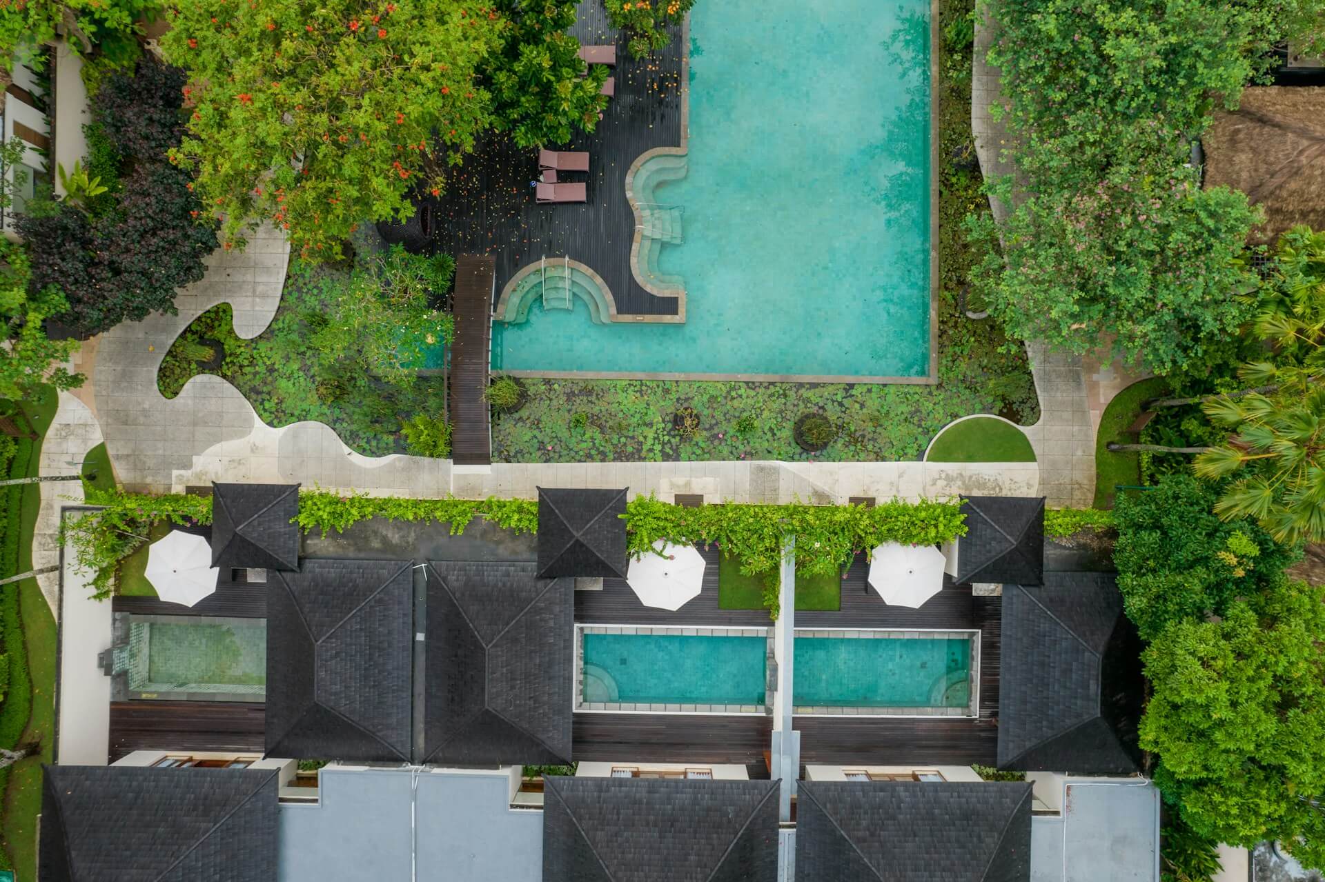 Infinity Pool or Jungle Pool? The Tough Choice for Your Bali Staycation