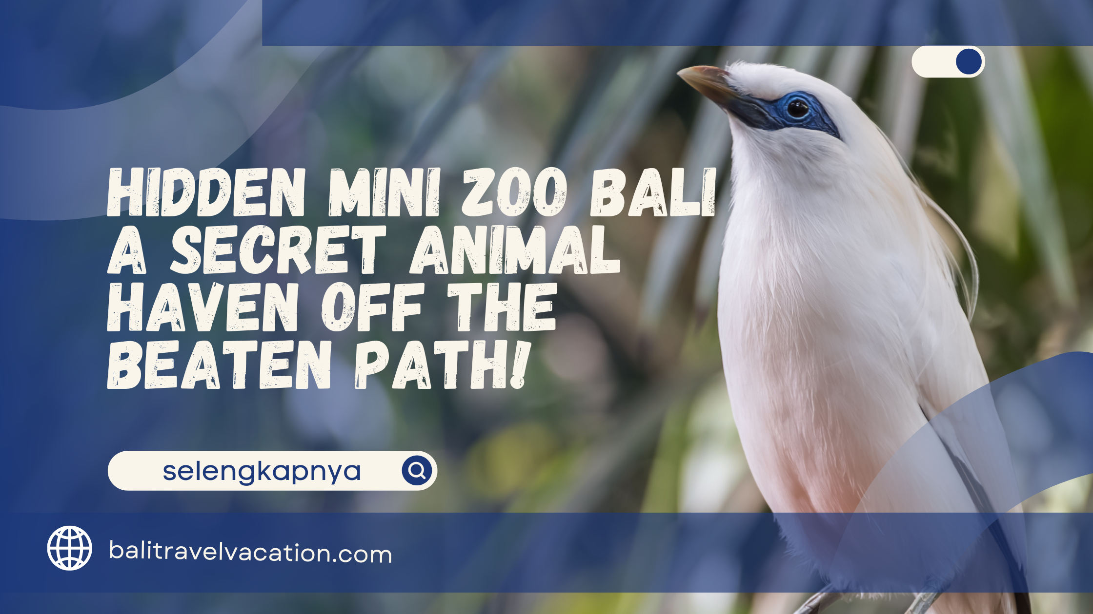 Hidden Mini Zoo Bali