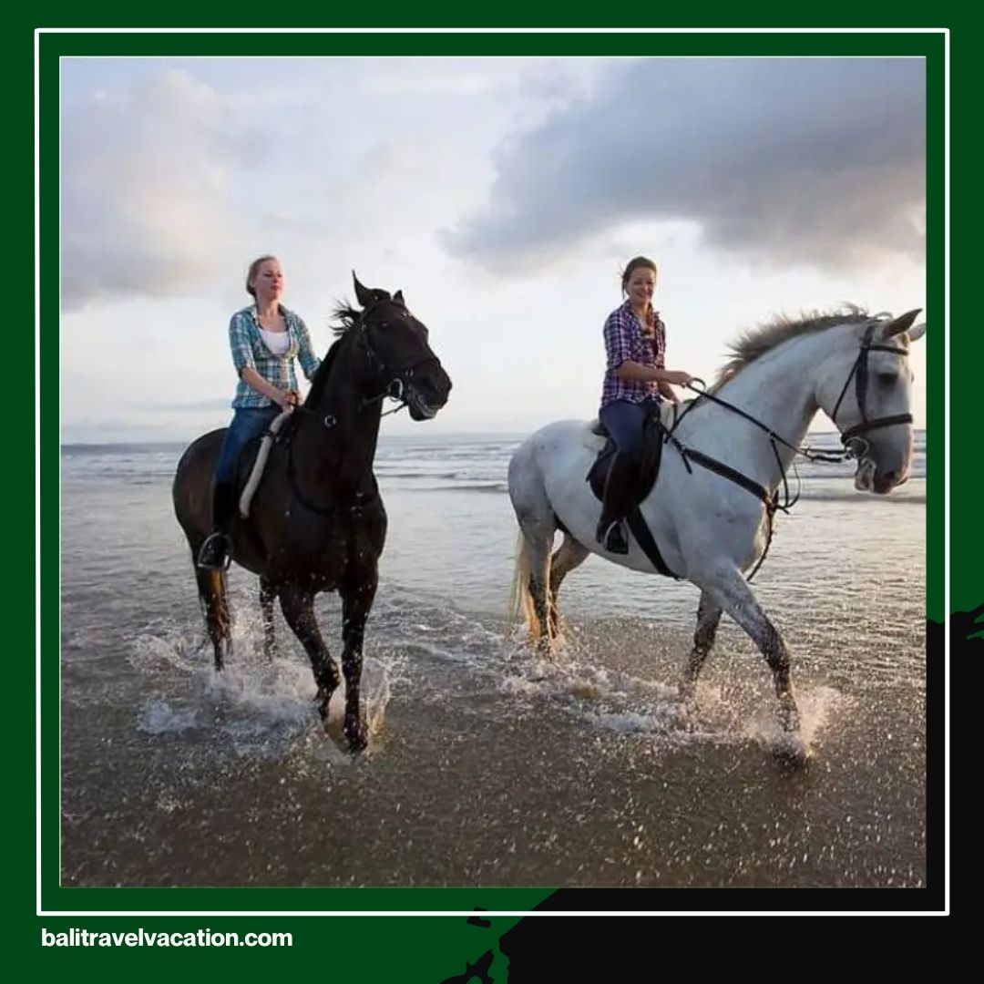 Bali Tour Package for Couple Turn Your Dream Vacation in Bali Into Reality