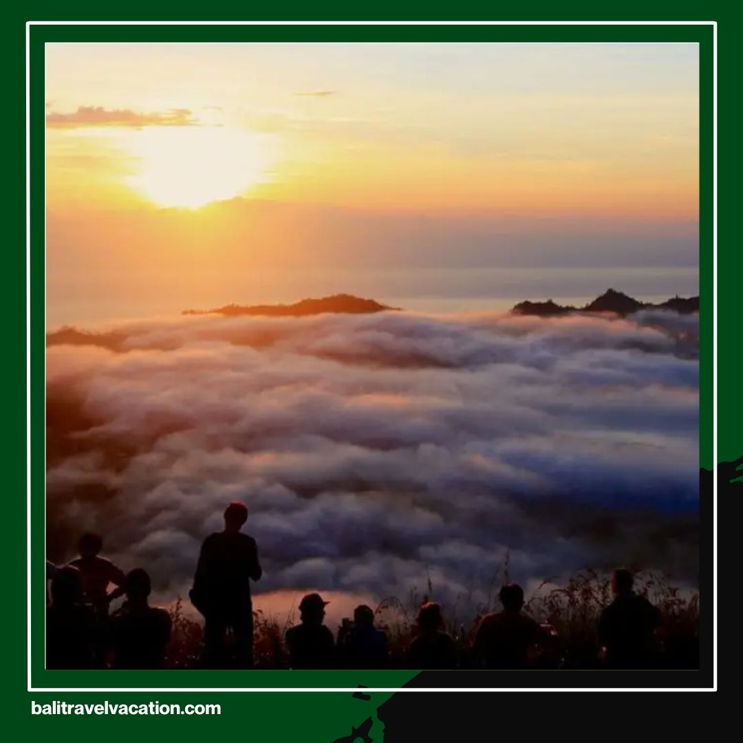 Vacation in Bali Must Try Bali Safari Night Tour, Book Now!