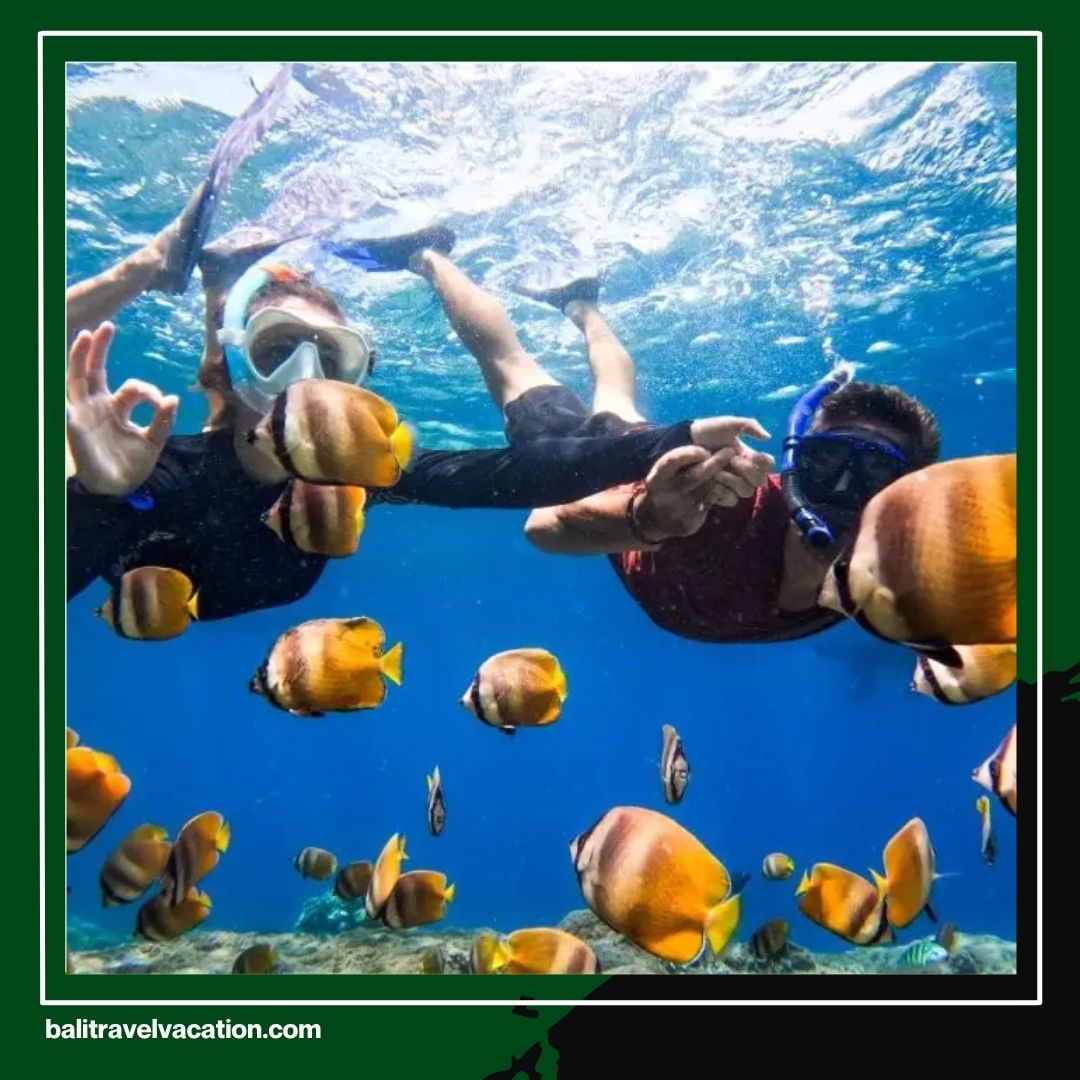 Bali Tour Package for Couple Turn Your Dream Vacation in Bali Into Reality