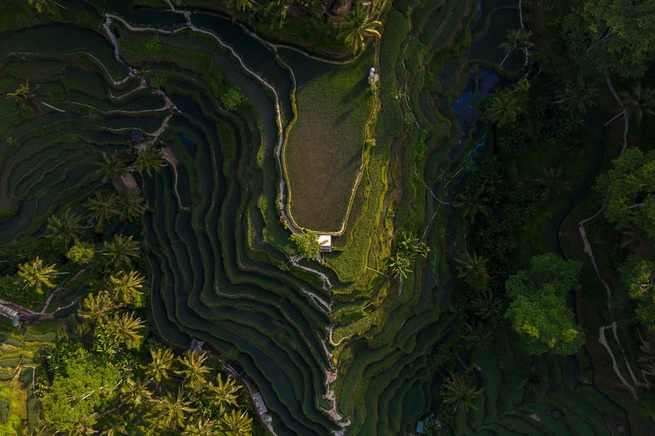 Enjoying the Perfect Golden Hour Without the Crowds at Tanah Lot