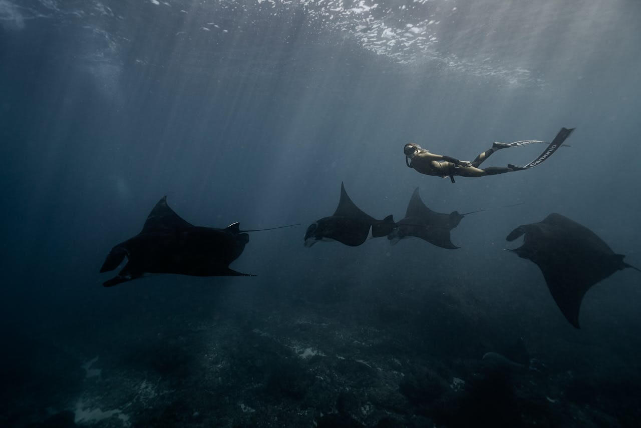 The Unforgettable Stunning Natural Beauty of the Underwater Paradise of Buleleng