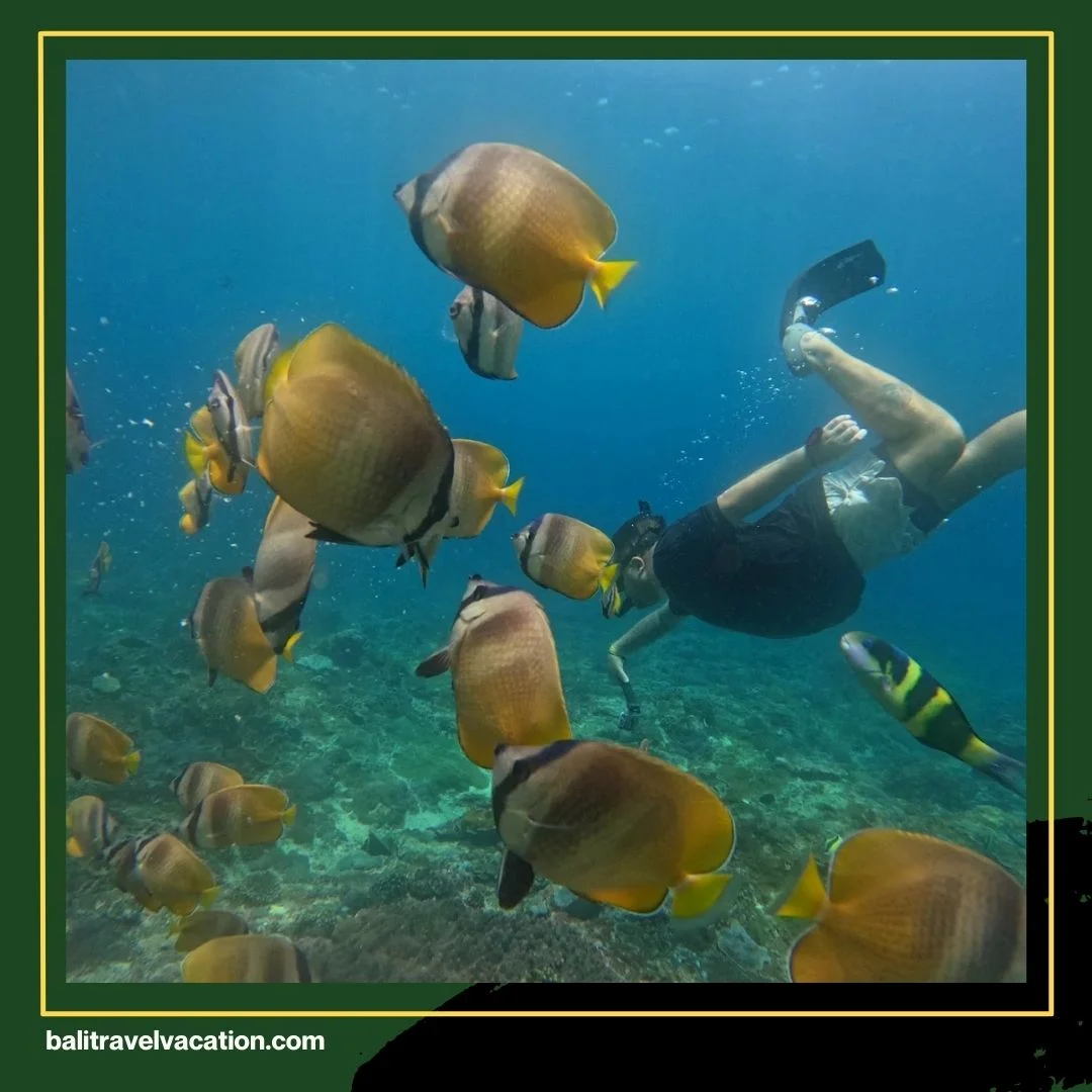 Bali Snorkeling Trip Nusa Penida
