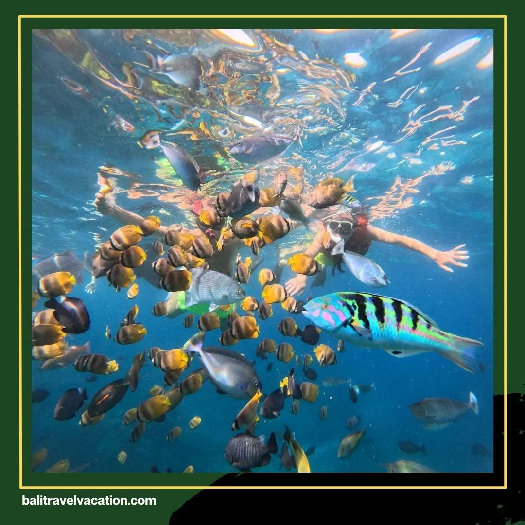 Bali Snorkeling Trip Nusa Penida