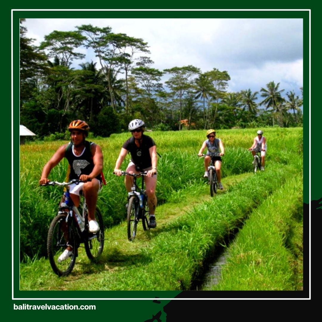 Cycling Tour Bali Explore the Island of Gods in the Most Authentic Way
