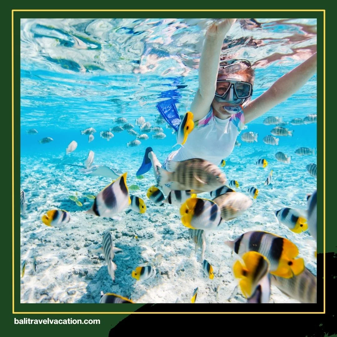 Bali Snorkeling Trip Nusa Penida