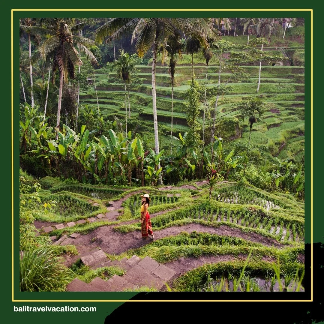 Tempat Wisata Populer di Bali