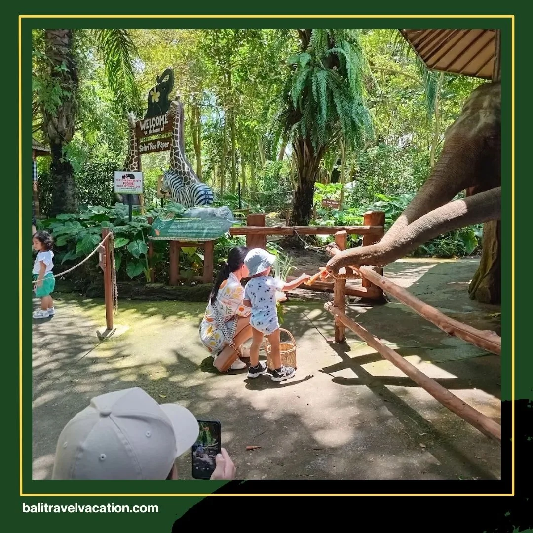 Best Bali Tour Packages