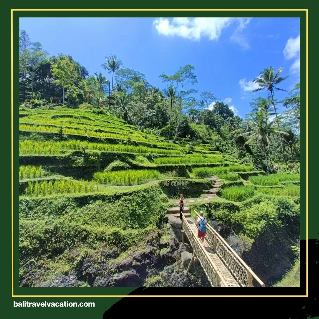 Ubud Cultural Tour Bali